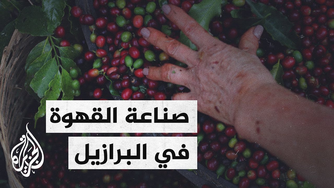 اليوم الوطني للقهوة في البرازيل