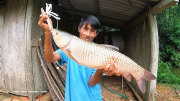 ĐÓN TẾT ĐỘC LẬP BẰNG MÓN GỎI CÁ TRẮM KHỦNG | Nhịp Sống Thường Ngày