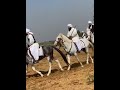 Pindi ghazi nezabaz club of Pakistan. tent Pegging status