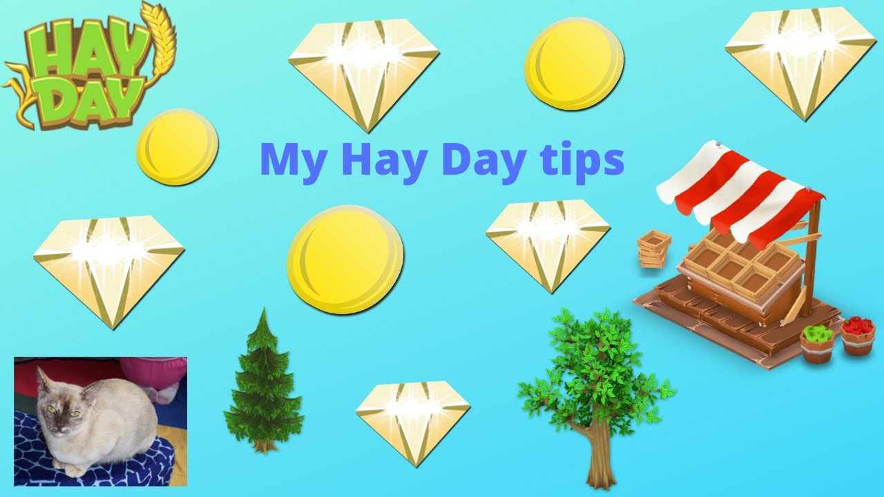 My Hay Day Tips YouTube