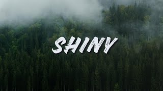 SHINY - EASYKID BUDOTS TIKTOK TRENDING  DJ RONZKIE REMIX 2025