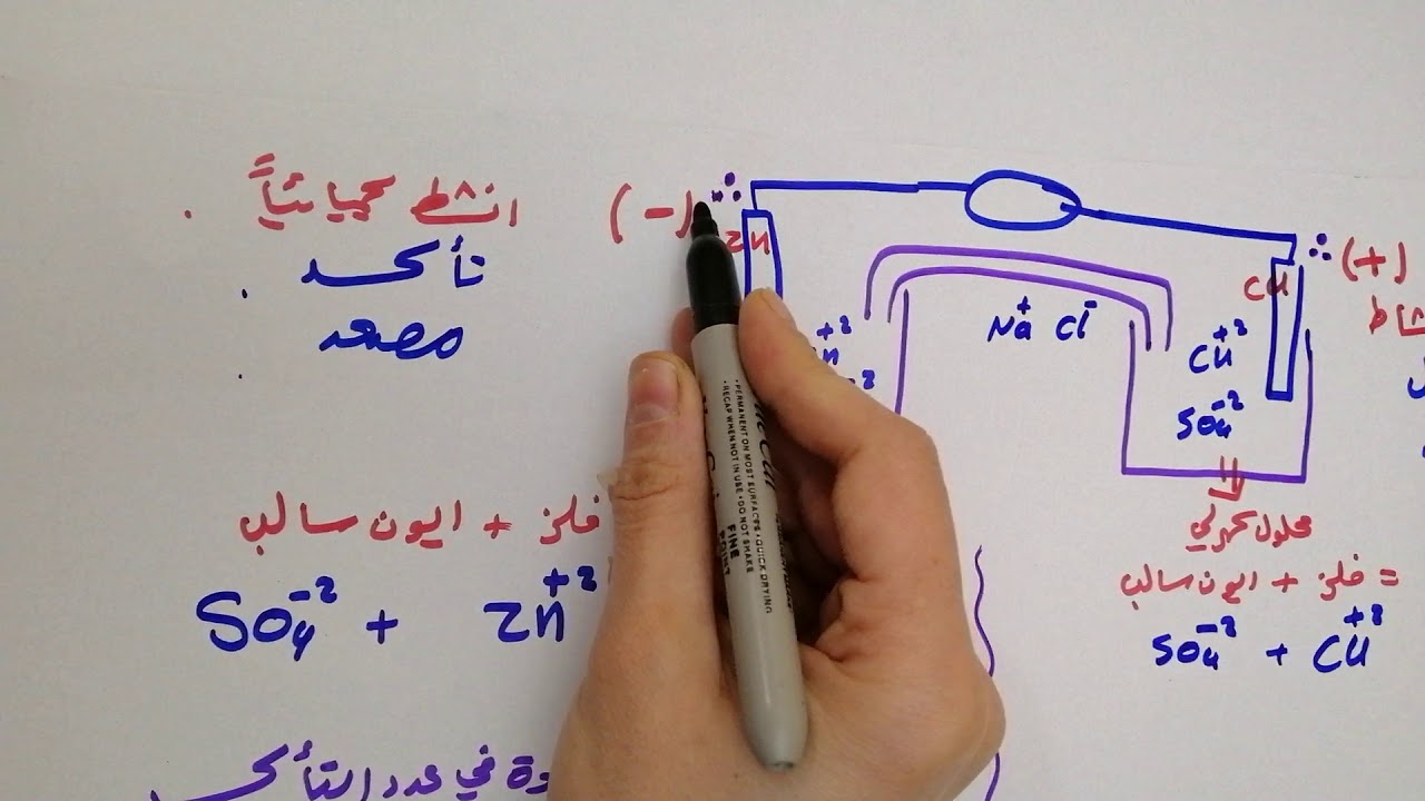 الخلايا الغلفانية للصف التاسع فصل ثاني