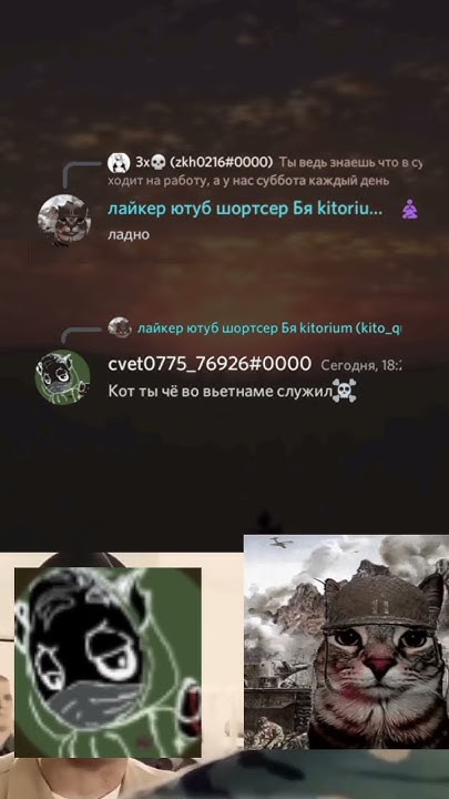 #дискорд #белуга #мем - YouTube