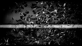 Noisedrone - Audio Visual
