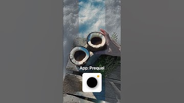 Prequel app filter  #prequeledit #photoideas #prequel #photography