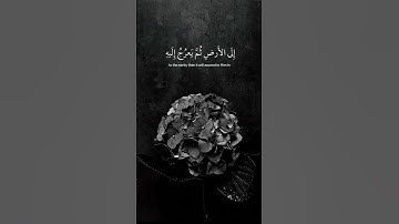 تلاوة من آيات الذكر الحكيم