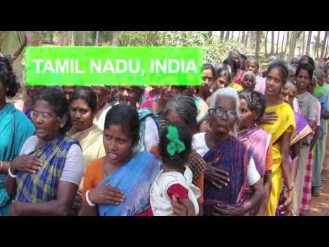 The World's Longest Toilet Queue
