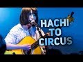 Hachi to Circus &ndash; Sayuri [Kanji/Romaji/English subbed] (2015.12.03 at Shibuya WWW)