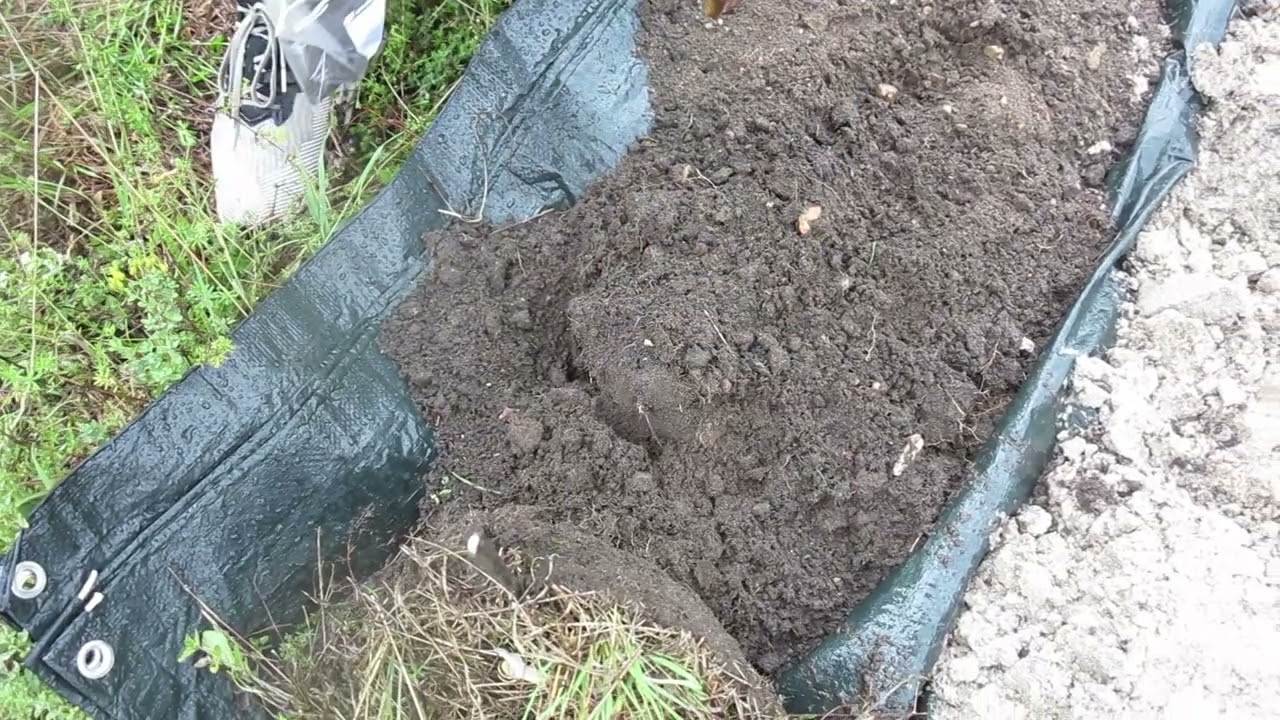 Bodenfeuchte-Sensor installieren: Bodenprobe nehmen