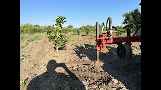 Ніж для обробки пристовбурової зони в саду фундука, краще за фрезу