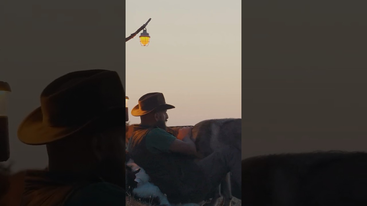 Relax Your Soul in the Calm of Nature 