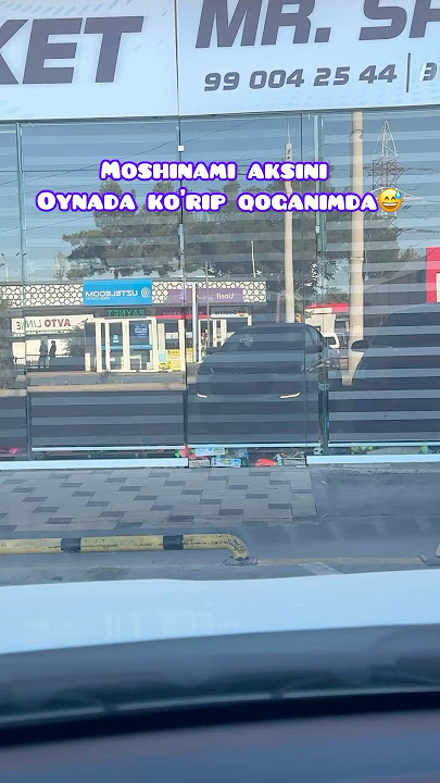 What was the license plate number of the car?