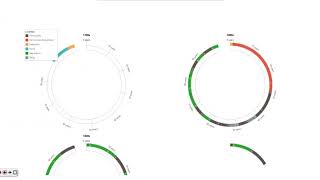 Timeline Story Teller Visualisation of US Presidents