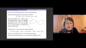 Annalisa Calini: Soliton equations and geometric flows