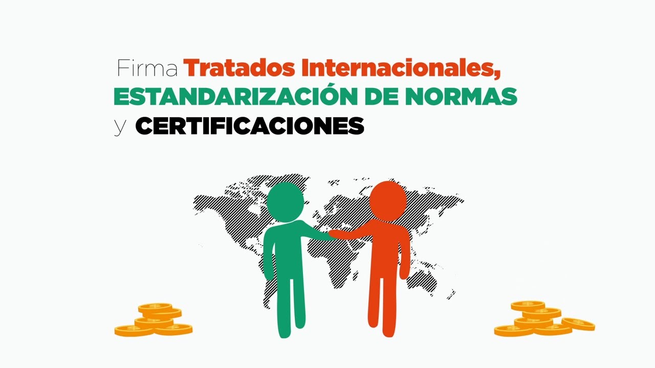 Carrera Administracion De Negocios Internacionales Youtube