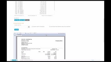 Blue Bison Software Demonstration