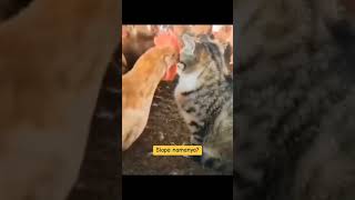 Kamu Siapa? Dimana Rumahnya?