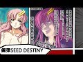 帶你看完【鋼彈SEED DESTINY】｜VanGogh