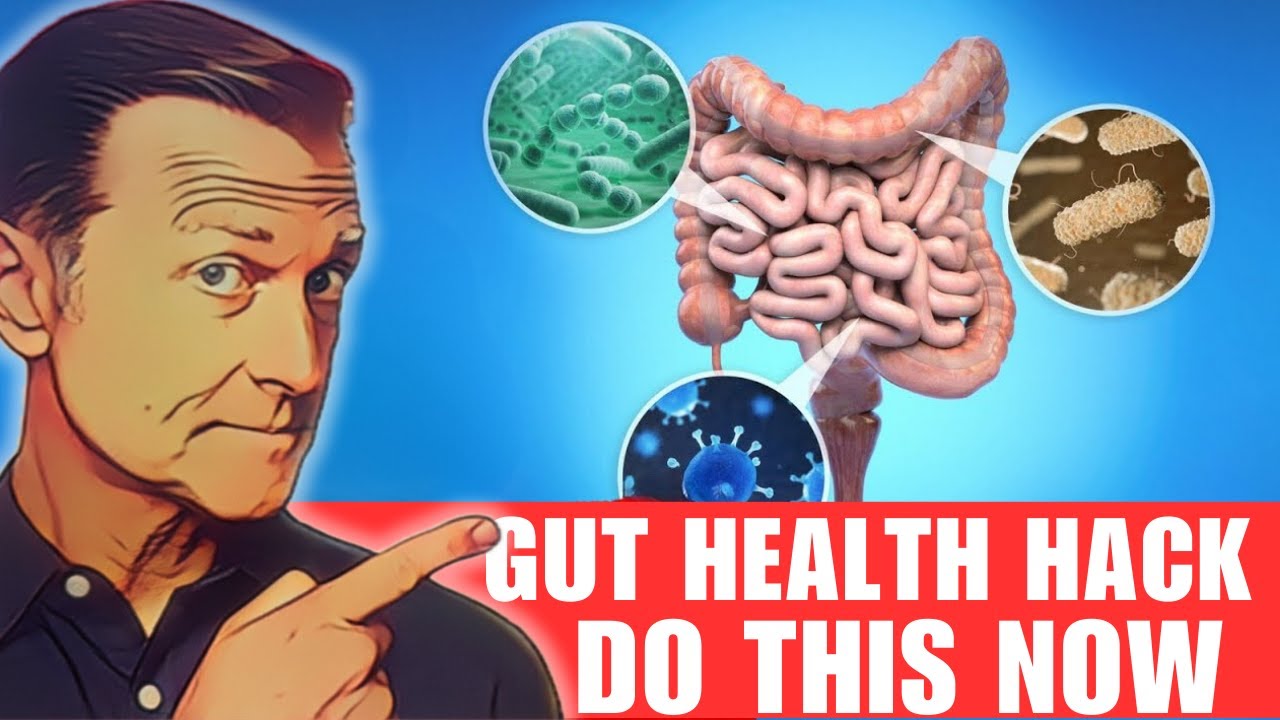 How To Improve Gut Health FAST! Secret Tip NoBody Told You | FitBuzz