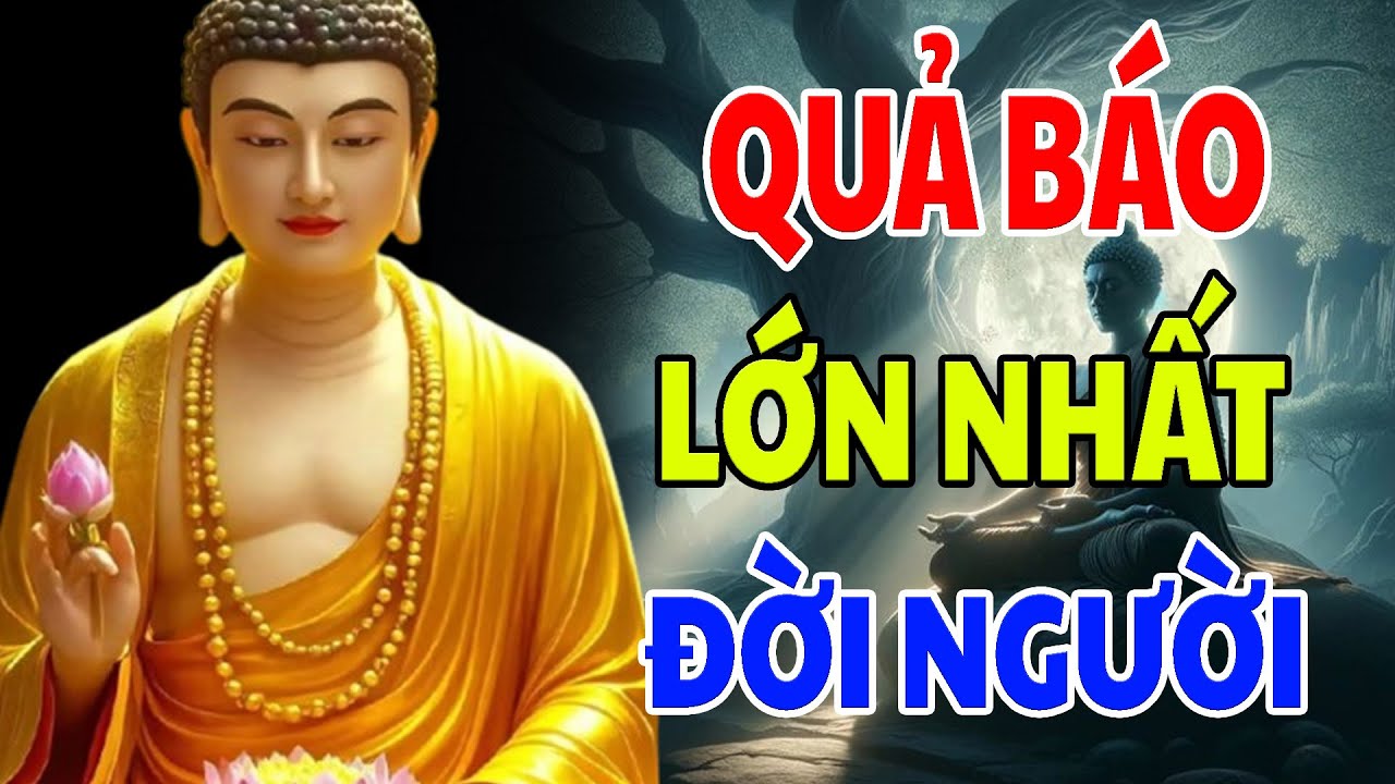 QUẢ BÁO Lớn Nhất Của ĐỜI NGƯỜI Sống Đừng Làm Khổ Mình Và Khổ Người Để Tích Đức Phước Về Sau