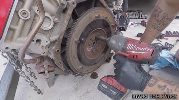 4.6 DOHC cobra engine rebuild Pt. 2