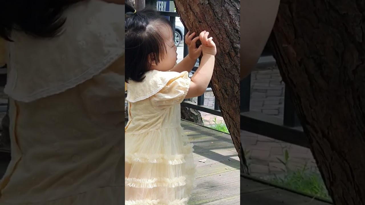 소나무껍질 좋아? 맨발의 아가? 