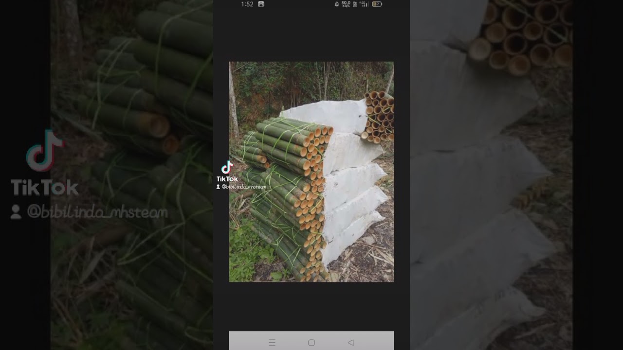 buluh lemang buluh briayni 0179454448