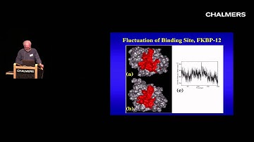 Andrew McCammon: Molecular Dynamics and Drug discovery
