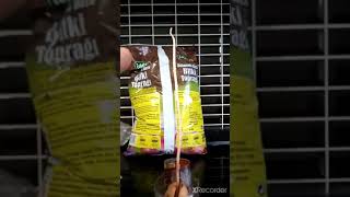 AVOKADO 🥑🥑 FİLİZLENDİRME