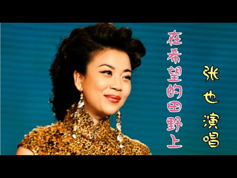 80年代歌曲《在希望的田野上》 民歌皇后张也歌声甜美 太好听了