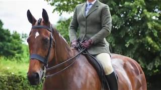 Details What To Wear For Showing By Katie Jerram-Hunnable Guide