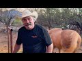 Real Talk with Don Frye at His Ranch | Pain, Pride &amp; Legacy