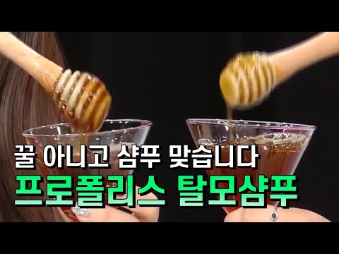 [GS홈쇼핑] 탈모샴푸 유목민들 여기 좌표 찍으십시오 | 프로폴리스 탈모샴푸, 항산화샴푸, 기능성샴푸