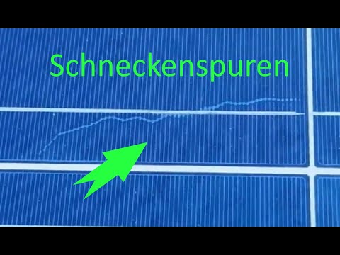 Video: Was ist eine Schneckenspur?