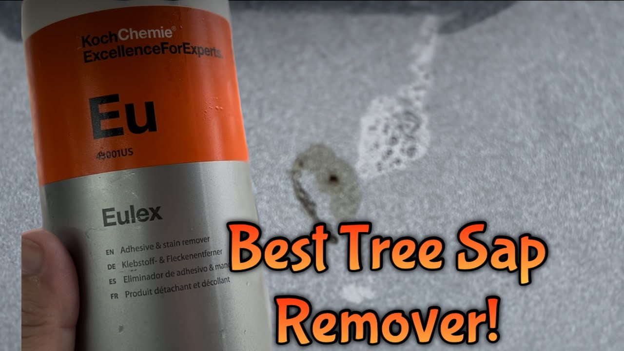 How To Remove Tree Sap (& More!) From Cars 👉🏻 Koch-Chemie Eulex 