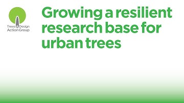 Growing a Resilient Research Base for Urban Trees, 4 November 2025
