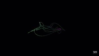 3D Harmonograph Highlights #1