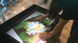 Multitouch Table Tablet