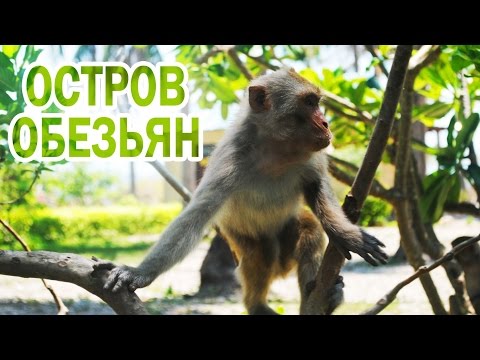 Остров обезьян - Вьетнам Нячанг, Monkey Island
