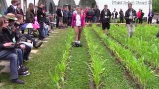 FRE2015 - Banat - Task 2