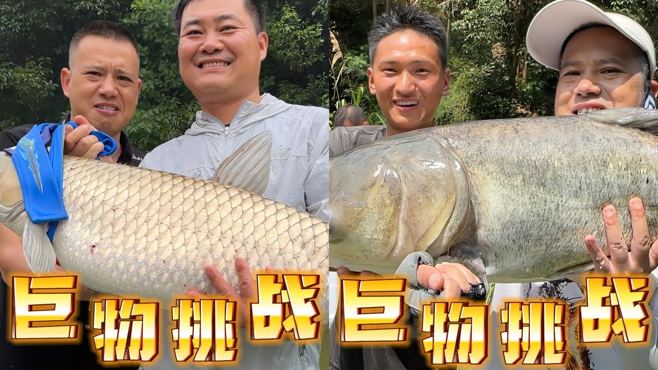 没想到这位江苏来的粉丝是专钓青鱼的高手