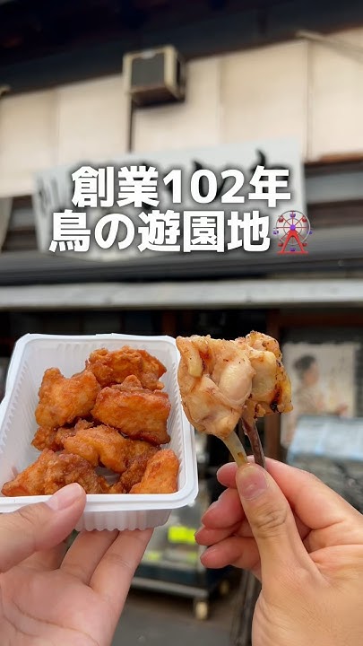 \創業102年 鳥の遊園地🎡/「阪急 高槻市駅から徒歩5分」大阪グルメ 大阪ランチ japanesefood osakafood 