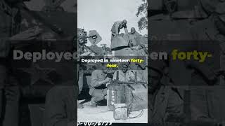 The 761st Tank Battalion: WWII’s Original Black Panthers #history #facts #worldwar2 #blackpanthers