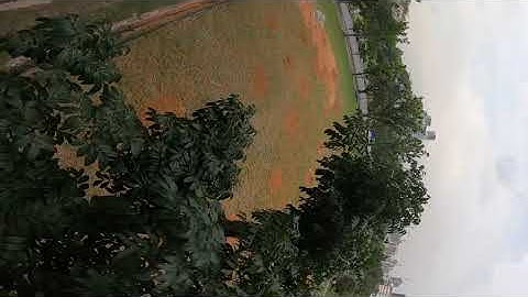 Armattan Marmotte on BetaFlight 4.0