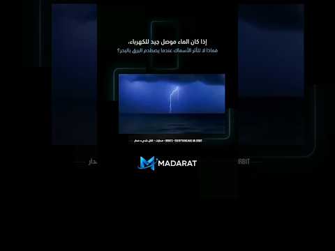 الفيزياء الخفية|لماذا لا تتأثر الأسماك عندما يضرب البرق سطح البحر؟ thumbnail