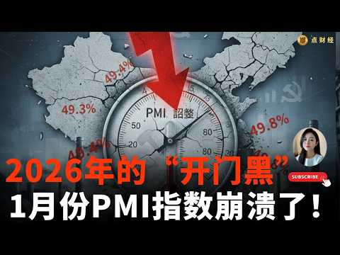 2026年的“开门黑”，1月份PMI指数崩溃了！/行业分析/娜点财经20260207