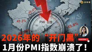 2026年的“开门黑”，1月份PMI指数崩溃了！/行业分析/娜点财经20260207