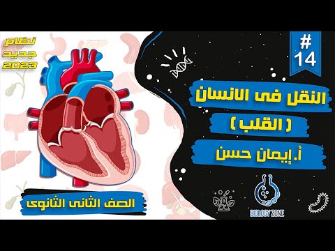 14 شرح درس النقل فى الانسان القلب احياء تانيه ثانوى الترم الاول 2023 إيمان حسن