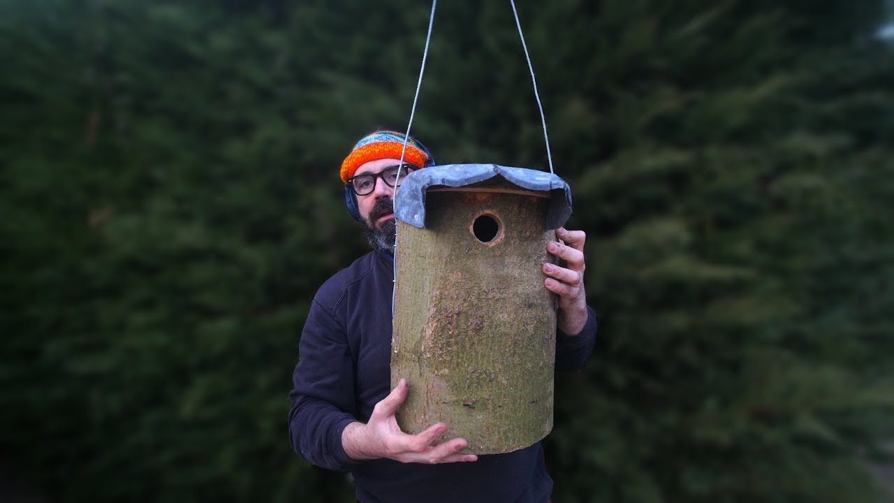 Woodpecker Nest Box from a Log - YouTube