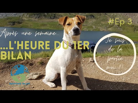 #EP3 - Retour des Pyrénées, quand tout dégénère... 🐻⚡️🌊🔥